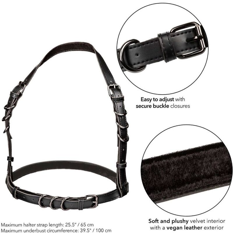 CALEXOTICS - EUPHORIA IMBRACATURA CON FIBBIA HALTER NERA - immagine 3