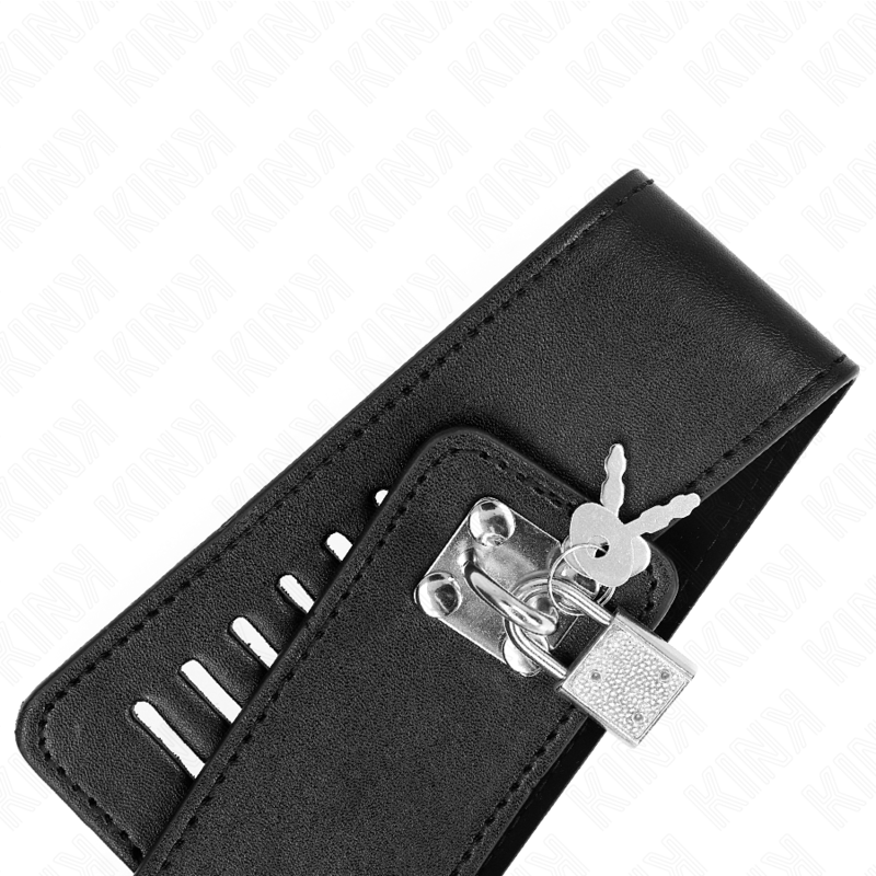 KINK - COLLAR CON CORREA 116 CM MODELO 2 AJUSTABLE 36-43 CM X 5 CM - immagine 4